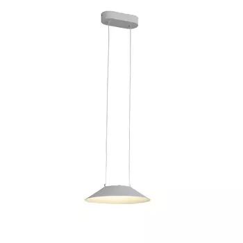 Светильник подвесной ST Luce Pitto SL427.503.01