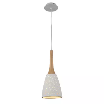 Светильник подвесной ST Luce SL288.503.01