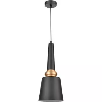 Светильник подвесной Vele Luce Appassionato VL2142P01