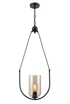 Светильник подвесной Vele Luce Fiamma VL5812P01