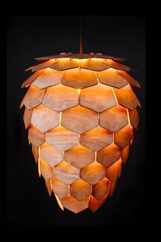 Светильник подвесной Woodshire Пикеа 1445pl