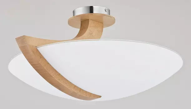 Светильник потолочный Alfa Calmi 90058