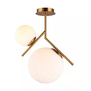 Светильник потолочный Aployt Marzena APL.300.07.02