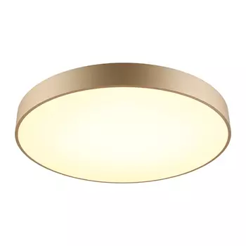 Светильник потолочный Aployt Virzhini APL.023.07.68