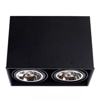 Светильник потолочный Arte Lamp A5936PL-2BK