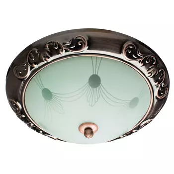 Светильник потолочный Arte Lamp ALTA A3014PL-2AC