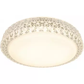Потолочный светодиодный светильник Arte Lamp Celeste A1569PL-1CL