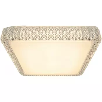 Потолочный светодиодный светильник Arte Lamp Celeste A1571PL-1CL