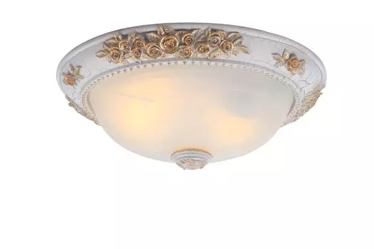 Светильник потолочный Arte Lamp TORTA A7102PL-2WG