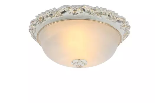 Светильник потолочный Arte Lamp TORTA A7151PL-2WG