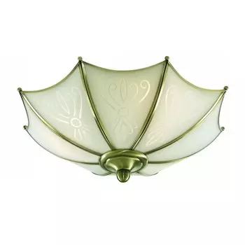 Светильник потолочный Arte Lamp UMBRELLA A9232PL-2AB