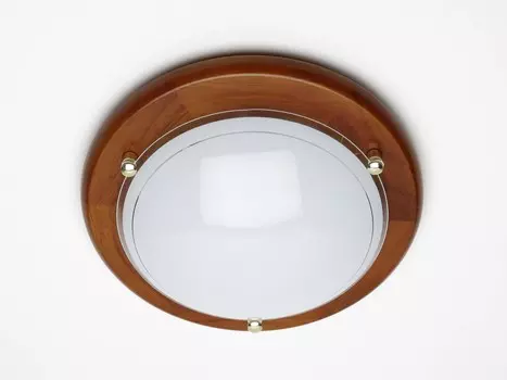 Светильник потолочный Brilliant FIDSCHI 90181/35