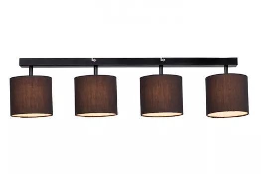 Светильник потолочный Brilliant SANDRA G85031/06