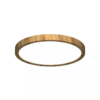 Светильник потолочный Citilux Бейсик CL738242V