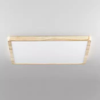Светильник потолочный Citilux Бейсик CL738K502V