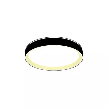 Светильник потолочный Citilux Boss CL751251G