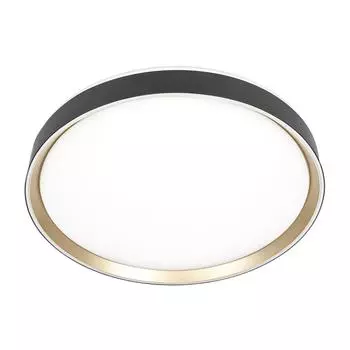 Светильник потолочный Citilux Boss CL751451G