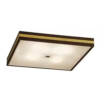 Светильник потолочный Citilux CL940421