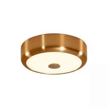 Потолочный светодиодный светильник Citilux Фостер-1 CL706112