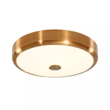 Потолочный светодиодный светильник Citilux Фостер-1 CL706132