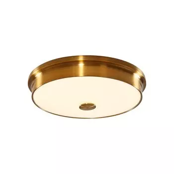 Потолочный светодиодный светильник Citilux Фостер-2 CL706232