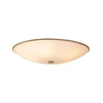 Светильник потолочный Citilux Хром+Белый CL911501