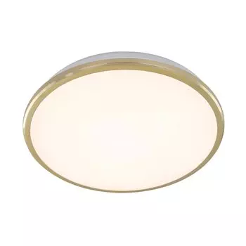 Потолочный светодиодный светильник Citilux Луна CL702222W