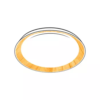 Светильник потолочный Citilux Mega CL752352G