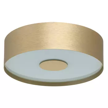 Светильник потолочный De Markt Энигма 688010501