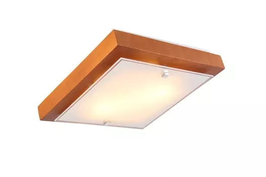 Светильник потолочный Дубравия Полина 106-21-22/1