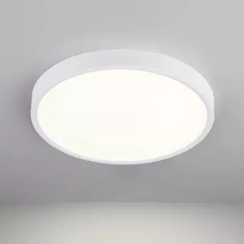 Светильник потолочный Elektrostandard DLR020-DLS020 DLR034 24W 4200K