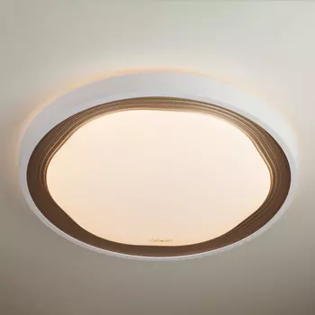 Светильник потолочный Elektrostandart Range 40006/1 LED кофе