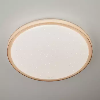 Светильник потолочный Elektrostandart Sandy 40014/1 LED кофе