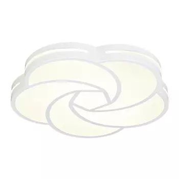 Светильник потолочный Escada Lodi 10209/1LED