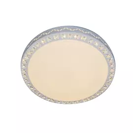 Потолочный светодиодный светильник Escada Led 10222/S LED