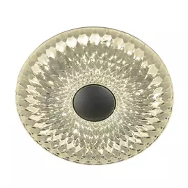 Потолочный светодиодный светильник Escada Led 10271/S LED