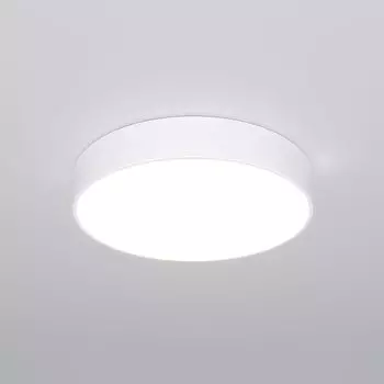 Светильник потолочный Eurosvet Entire 90319/1 белый