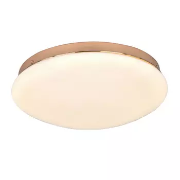 Светильник потолочный F-Promo Ledante 2465-2C