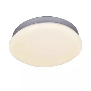 Светильник потолочный F-Promo Ledante 2467-1C