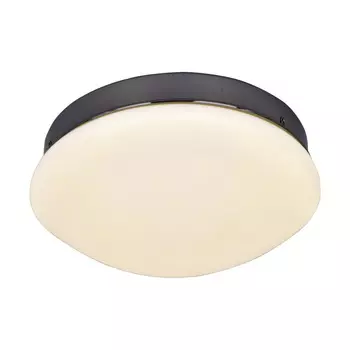 Светильник потолочный F-Promo Ledante 2468-1C