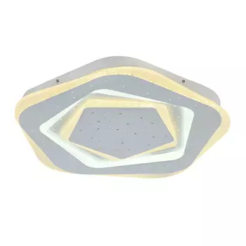 Светильник потолочный F-Promo Ledolution 2281-5C