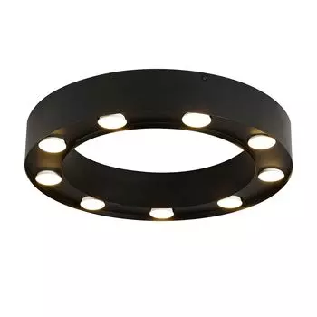 Светильник потолочный Favourite Attica 3007-9U