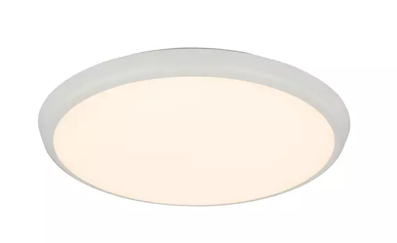 Светильник потолочный Globo Aemon 32109S