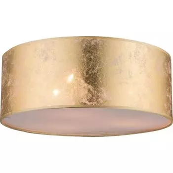 Светильник потолочный Globo Amy 15187D