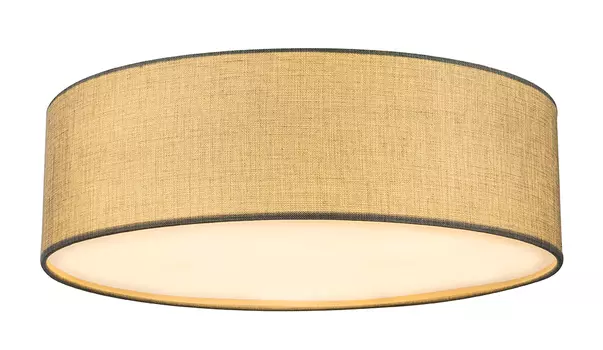 Светильник потолочный Globo Paco 15185D6