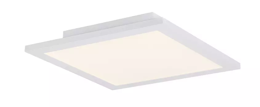 Светильник потолочный Globo Rosi 41604D1D