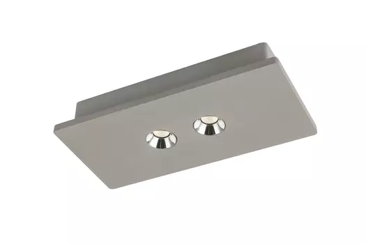 Светильник потолочный Globo Timo 55011-2