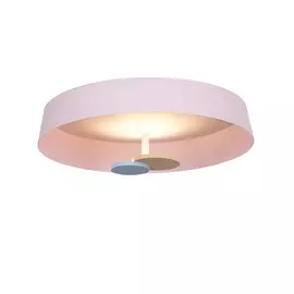 Светильник потолочный Delight Collection MX19001031 MX19001031-1A pink