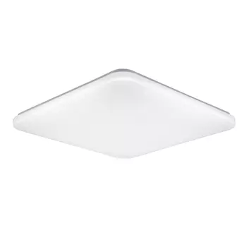 Светильник потолочный ЭкономСвет 83900 83900/60