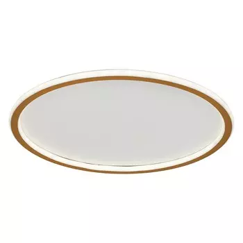 Светильник потолочный ЭкономСвет 88008 88008/50GD